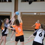 2017_02_19 Landesliga Frauen und Jugend 19